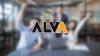 Load image into Gallery viewer, IP65 220V 12V专业设计Alva/OEM户外LED灯具  'IP65 220V 12V Professional Design Alva / OEM Outdoor LED Lightings'