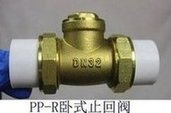 Load image into Gallery viewer, PPR止回阀 PPR双活接全铜 止回阀逆止阀 水管双热熔 单向阀 'PPR check valve PPR double union copper check valve check valve water pipe double hot melt check valve'
