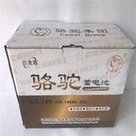 Load image into Gallery viewer, 湖北骆驼6-QWLZ-200/免维护蓄电池6-QWLZ-200 CCA1100启动型  'Hubei Camel 6-QWLZ-200/maintenance-free battery 6-QWLZ-200 CCA1100 starter'
