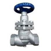 Load image into Gallery viewer, 福建唐工蒸汽导热截止阀U11S丝扣高温柱塞阀内螺纹丝口截止阀  'Fujian Tanggong steam heat conduction stop valve U11S screw thread high temperature plunger valve internal screw thread stop valve'
