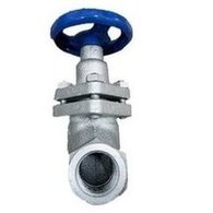 Load image into Gallery viewer, 福建唐工蒸汽导热截止阀U11S丝扣高温柱塞阀内螺纹丝口截止阀  'Fujian Tanggong steam heat conduction stop valve U11S screw thread high temperature plunger valve internal screw thread stop valve'
