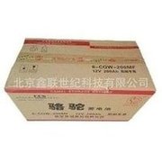 Load image into Gallery viewer, 湖北骆驼6-QWLZ-200/免维护蓄电池6-QWLZ-200 CCA1100启动型  'Hubei Camel 6-QWLZ-200/maintenance-free battery 6-QWLZ-200 CCA1100 starter'
