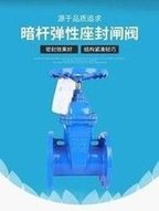 Load image into Gallery viewer, 现货供应暗杆弹性座封中核苏阀闸阀 球墨铸铁法兰软密封暗杆闸阀  'Spot supply of non-rising stem elastic seat seal medium nuclear valve gate valve ductile iron flange soft seal non-rising stem gate valve'
